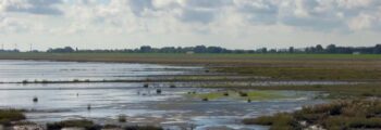 france : location de jet privé