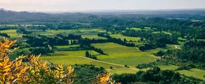 Ales Deaux : privačių lėktuvų nuoma