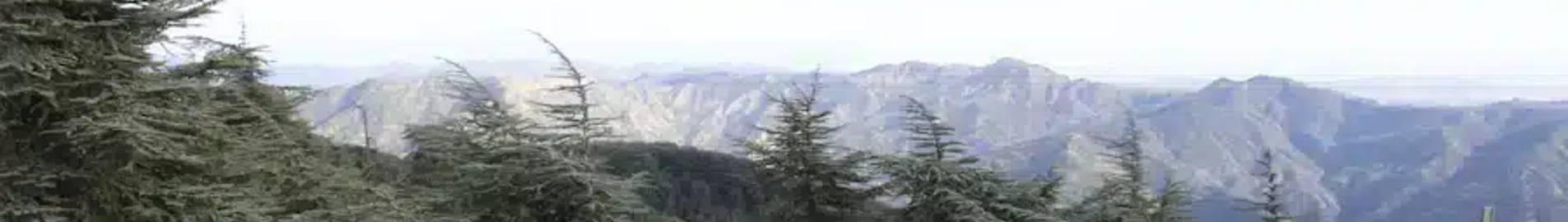 Blida: privačiu lėktuvu nuoma