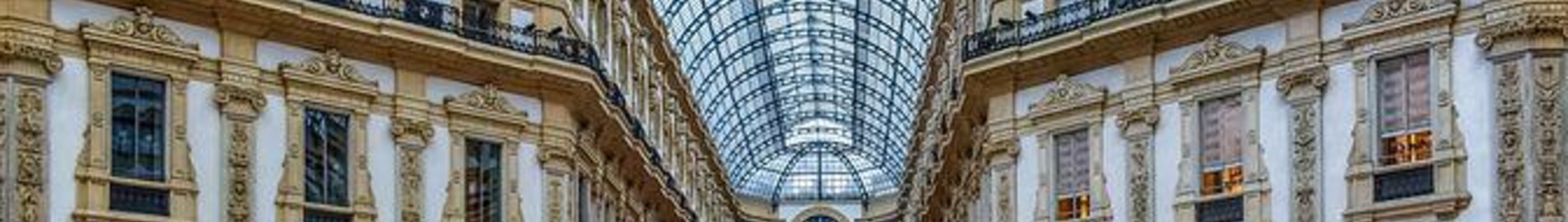 Paryžius - Milano Linatė : privataus lėktuvo nuoma 