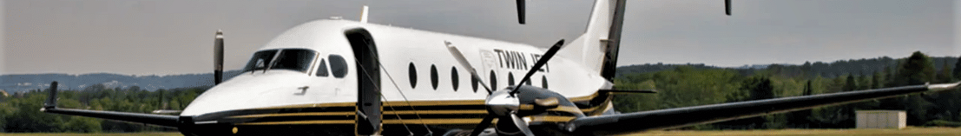 Twin Jet : oro linijų bendrovė