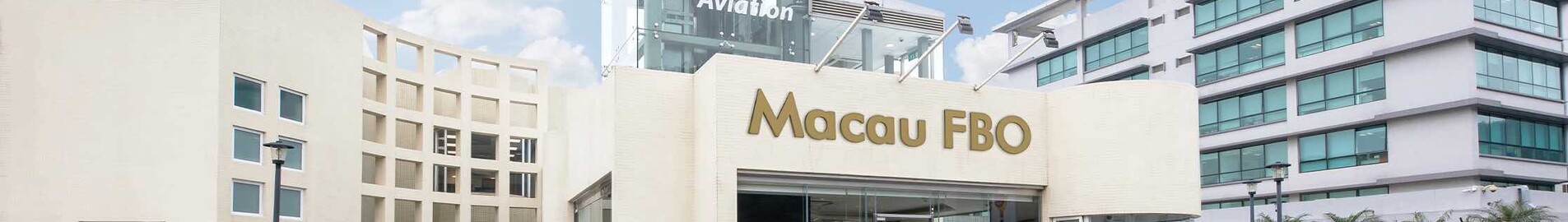 Žyma Aviacija : oro linijos