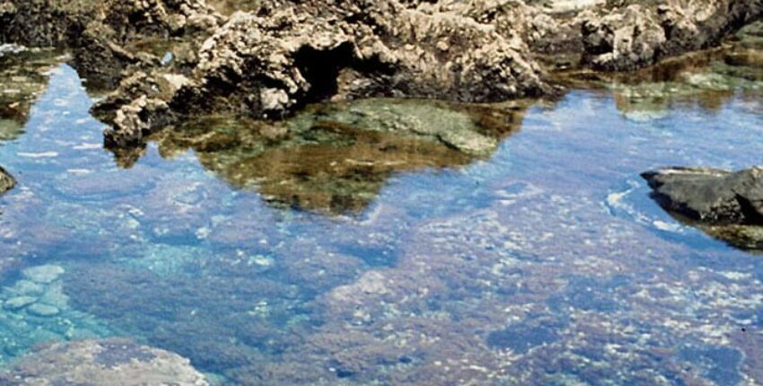 Išsinuomoti privatų lėktuvą iš El Hierro oro uosto