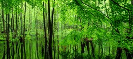 Jeveras : privačių lėktuvų nuoma 