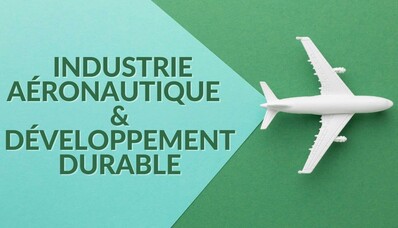 Aviacijos pramonės iššūkiai darnaus vystymosi kontekste