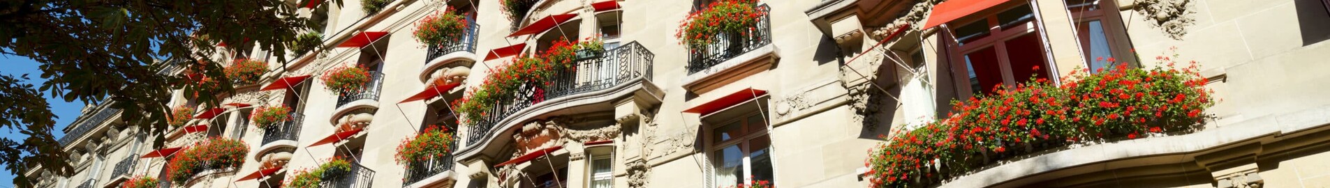 Prabangus viešbutis Paryžiuje: svajonių viešnagė „Hôtel Plaza Athénée