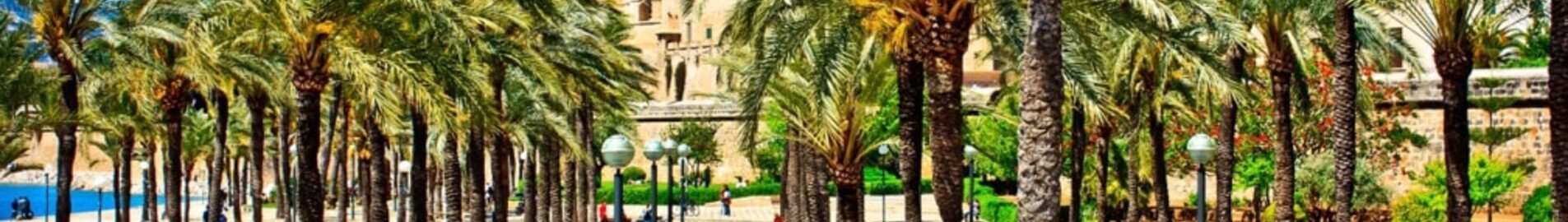 Barselona - Palma de Maljorka: privataus lėktuvo nuoma