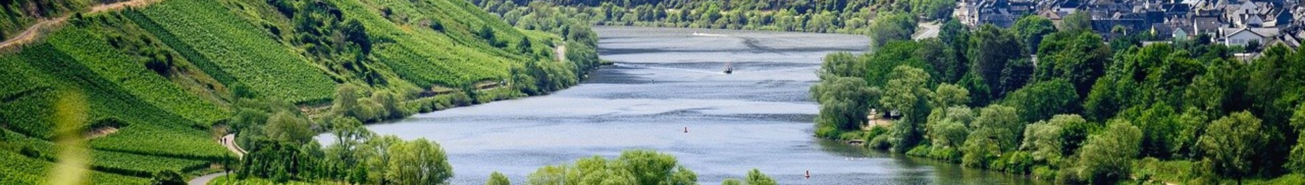 Europos vynuogynai, kuriuos galima aplankyti privačiu lėktuvu