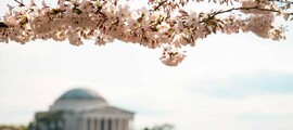 Hiustonas - Bostonas : privataus lėktuvo nuoma