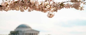 Las Vegasas - Vašingtonas DC : privačiu lėktuvu nuoma