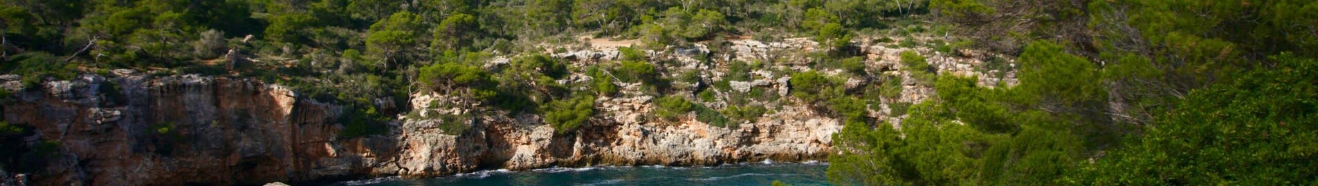 Frankfurtas - Palma : privataus lėktuvo nuoma