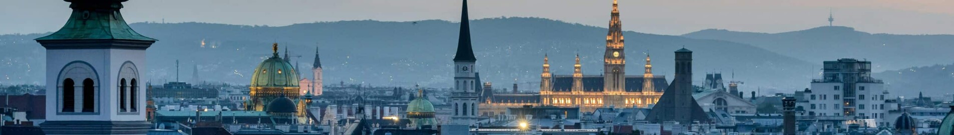 Hamburgas - Viena : privataus lėktuvo nuoma