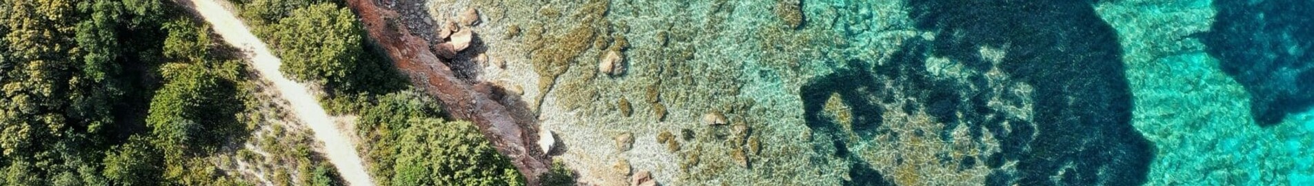 Frankfurtas - Olbija : privataus lėktuvo nuoma