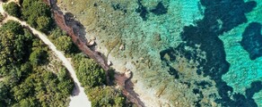 Frankfurtas - Olbija : privataus lėktuvo nuoma