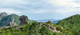Sankt Moricas - Palma : privataus lėktuvo nuoma