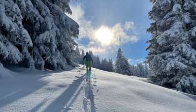 Slidinėjimo kryptys, pasiekiamos privačiu lėktuvu