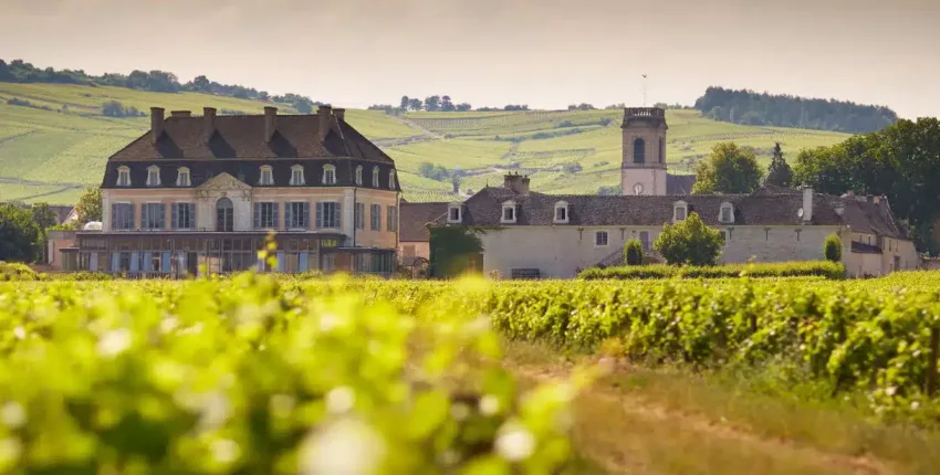 Burgundijos vynuogynai: patirtis su sraigtasparniu