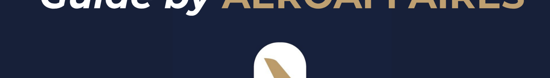 Oro linijų brokerio vadovas AEROAFFAIRES