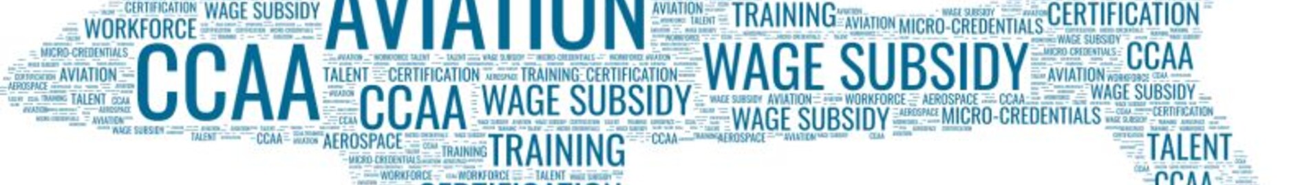 Išsamus verslo aviacijos žodynas : AEROAFFAIRES